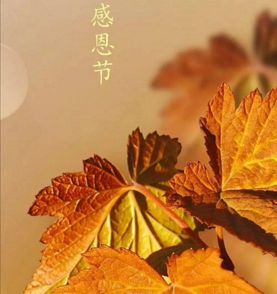 感恩遇見！